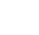 logo_scopone_vettoriale